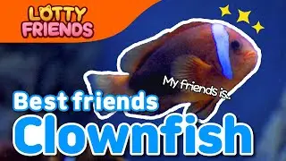 Clownfish🐠 | Kids Songs & Educational Songs | For Kids | Sea Animal Song | Lotty Friends