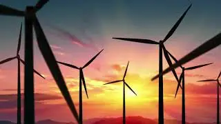 Growing a green economy for South Africa