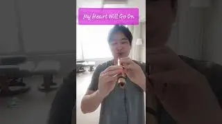 My Heart Will Go On quena cover