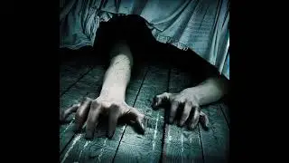 Eminem ft. Rihanna - The Monster ( Czech cover )