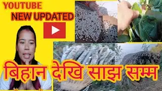 #youtube #new updated #Bihan dekhi sajha samma....Today's my work ...