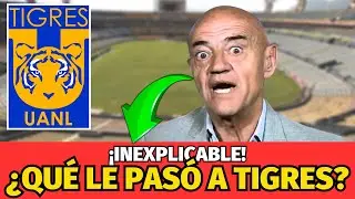 ¡VERGÜENZA EN EL VOLCÁN: CORREA NOS CONDENA! ¡NOTICIAS DE TIGRES HOY!