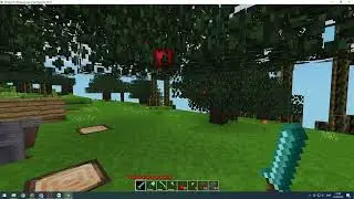 Играю в Minetest в академия TOP.