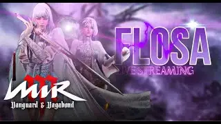 🔴 LIVE MIRM GLOBAL || MIRM VANGUARD & VEGABOND