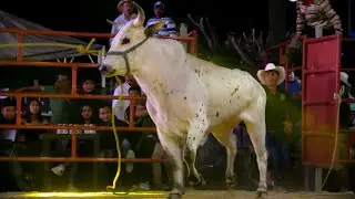 LAS NUEVAS JOYAS DEL RANCHO // RANCHO SAN AGUSTIN EN YAUTEPEC MORELOS 2024