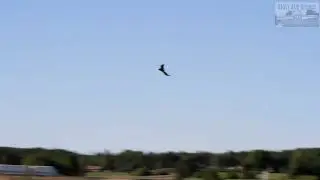BLADE THEORY TYPE W A WILD CRASH