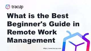 What is the Best Beginner's Guide in Remote Work Management