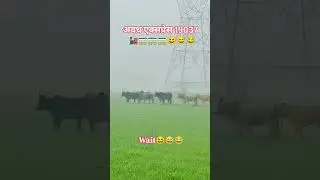 #अवध एक्सप्रेस#19037#