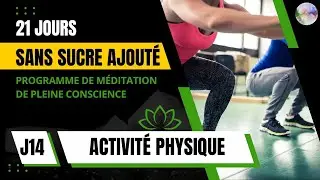 J14 | M&eacute;ditation Activit&eacute; Physique | PROGRAMME GRATUIT 21 JOURS SANS SUCRE AJOUT&Eacute;