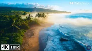 Majestic Waterfalls in 8K HDR | Dolby Vision Ultra HD Nature Scenery | Relaxation Video