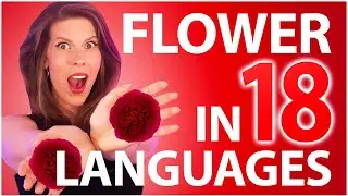 FLOWER 꽃 - Jisoo / 1 GIRL 18 LANGUAGES (Multi-Language cover by Eline Vera)