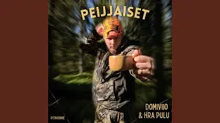 Peijjaiset