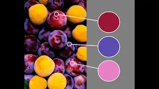 Colour Recipes #005: Plums! Colour Mixing Challenge for Oil and Acrylic Paint
