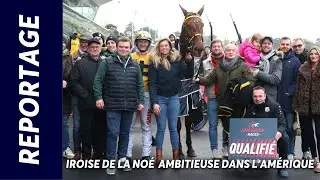 IROISE DE LA NOÉ AMBITIEUSE DANS L'AMÉRIQUE