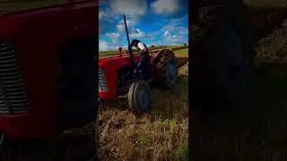 We did a ploughing match for once #farminglife #tractor #vintagetractor #agriculture  #ploughing