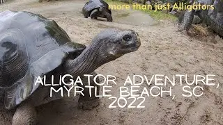 Alligator Adventure, Myrtle Beach, SC