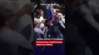 Pro-Palestine, Pro-Israeli Protesters Clash Outside LA Synagogue Over West Bank Event