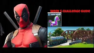 Deadpool Week 5|Deadpool Challenges
