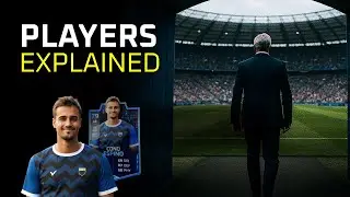 MFL Tutorial - Player 101