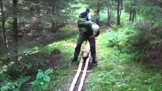 31 Vi drar stockar p&aring; v&aring;ra nybyggda skenor