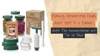 Fermenting Foods Just Got 3 x Easier! | The Culture Hub by The Raw Food Kitchen