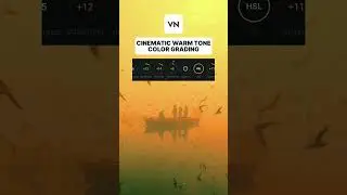 CINEMATIC WARM TONE Color Grading in VN | VN video editor #tutorial #vn #colourgrading #shorts