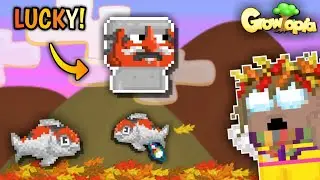 TRAINING KOI FISH #2 (GOT MENGU KOI SAMURAI FACIAL ARMOR!) *LUCKY* | Growtopia