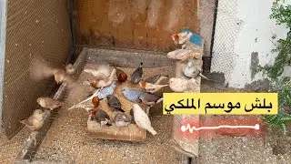 كل عام وانتم بخير عيد سعيد