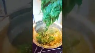 How To Keep Ampalaya Leaves Longer| Bitter Melon #conserving #freezing #vegetables #diy 