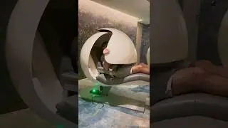 World&rsquo;s Best Sleep Pods At Worlds Best Airport | Changi Singapore | Lounge Guru