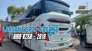 Jual Beli Bus | #HINO R260-2018 LAKSANA SR2 HD Prime lulus tes ECE R66 KONDISI ISTIMEWA