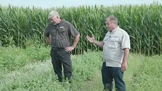 Pollinator Species - Part 1