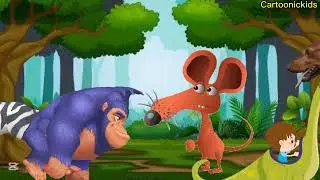 WILD Animals RACING Through the Amazon Jungle!