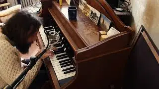 Fredrik Kinbom - Mannborg's Lament (lap steel & harmonium)