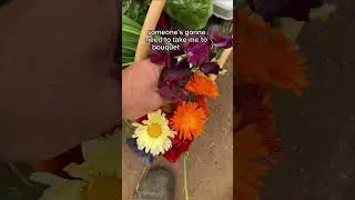 Harvesting a Birthday Basket From The Garden!