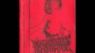 Dysmenorrheic Hemorrhage - The Last Vapor Of Gangrenous Fetor (Full Album)