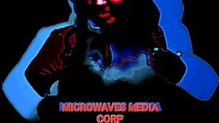 MICROWAVES MEDIA CORP