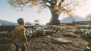Ghost of Yōtei - All Atsu Childhood Memories(Familiar Locations & Cutscenes)!!!