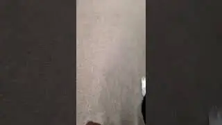 bully bottle