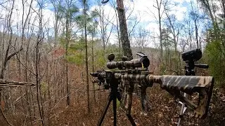 Hunting Public Land in Georgia!