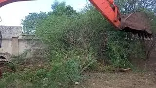 tata Hitachi trees cutting