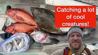 Monterey Bay Kayak Fishing: Squid, Lingcod, Vermillion Rockfish, Rock Sole