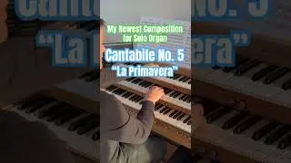 My newest composition for Solo Organ! Score is now available (follow link below to full piece)