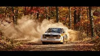 Dirt Rally 2 - Audi Sport Quattro Tolt Valley Sprint