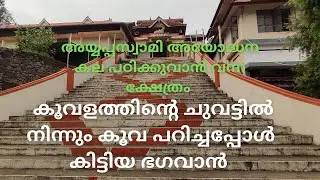 രോഗശമനത്തിന് മീനരി വഴിപാട് നടത്തുന്ന ക്ഷേത്രം | Chirakkadavu Sree Mahadeva Temple | ചിറക്കടവ്