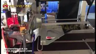 WIN-WIN PACK E-commerce Poly Bagger Packaging Machine/Automated Packaging & Ecommerce solution