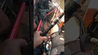 Found an abandoned fishing rod #fishing #fish #rivertreasure #youtubeshorts #fishinglife