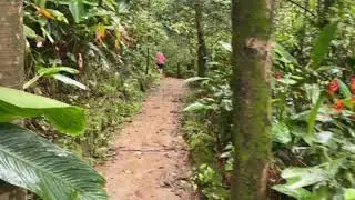 Smoke Falls in Bahia Brazil