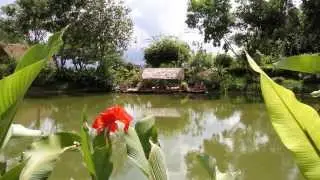 Mae Kok River Village Resort in Thaton