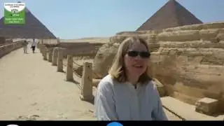 Excellent Services | Egypt Tailor Made Day Tours